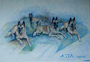 Asta 2007